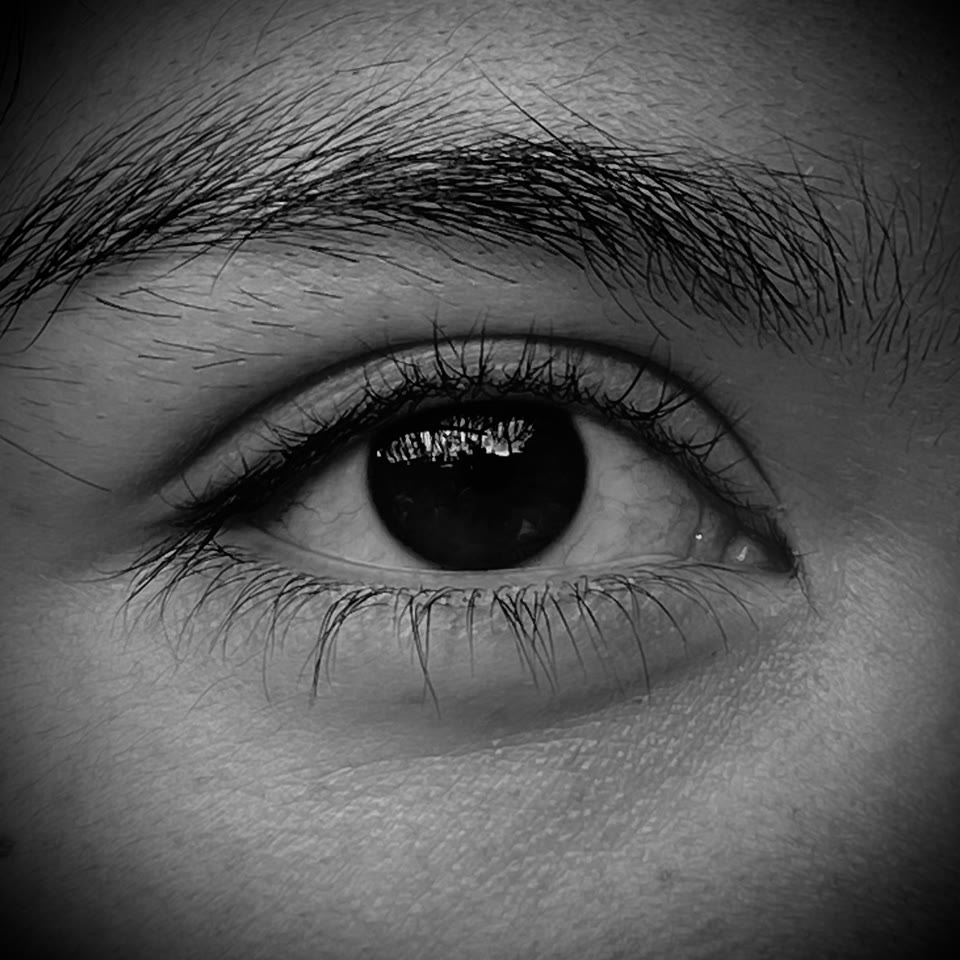 visiones